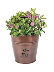 Copper Bucket Garden Planter by Dibor - Image 3 of 3