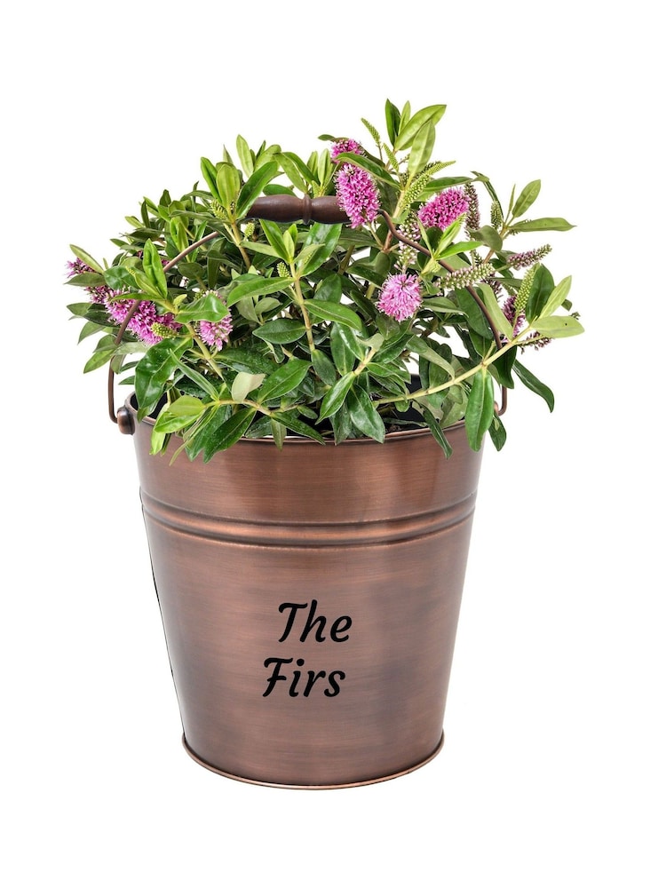 Copper Bucket Garden Planter by Dibor - Image 3 of 3