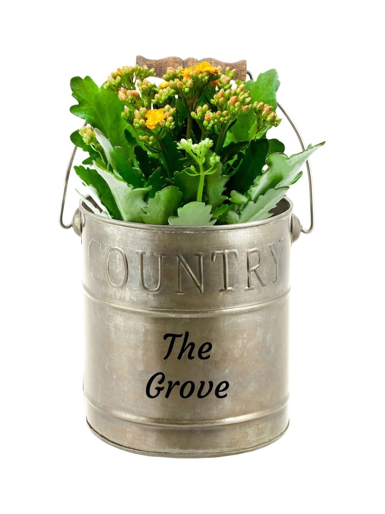 Vintage Metal Country Garden Planter by Dibor - Image 2 of 5