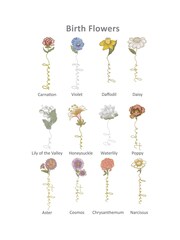 Jonnys Sister Personalised Embroidered Birth Flower Pashmina Scarf - Image 4 of 4