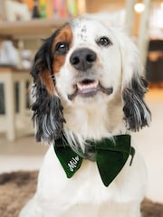 Green Personalised Dog Bow Tie by Jonnys Sister - Image 1 of 4