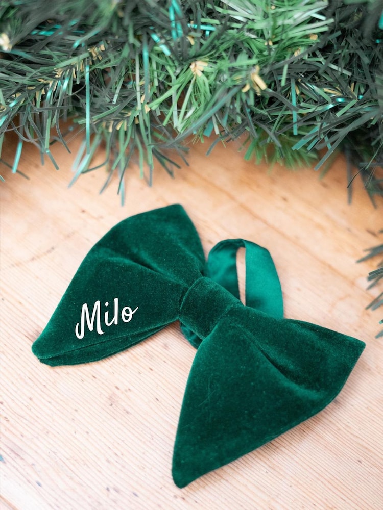 Green Personalised Dog Bow Tie by Jonnys Sister - Image 4 of 4