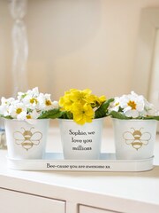 Personalised White Bee Tray and Pots by Jonnys Sister - Image 1 of 3