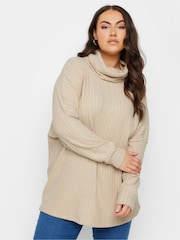 Yours Curve Natural Soft Touch Turtle Neck Jumper - Image 1 of 5