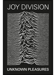 Pyramid International Black Joy Division Unknown Pleasures Framed Maxi Poster - Image 2 of 3