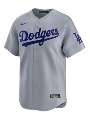Fanatics Youth Grey MLB Los Angeles Dodgers Limited Alternate Jersey - Image 2 of 3