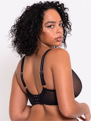 Curvy Kate Scantilly Mesmerise Plunge Black Bra - صورة 3 من 7