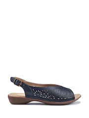 Hotter Blue Sunrise Buckle Regular Fit Sandals - Image 1 of 4