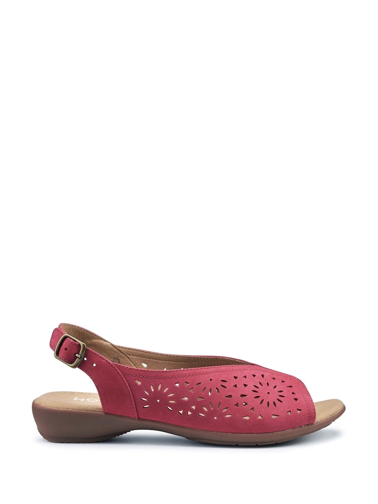 Hotter Pink Sunrise Buckle Regular Fit Sandals - Image 1 of 4