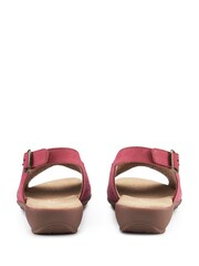 Hotter Pink Sunrise Buckle Regular Fit Sandals - Image 3 of 4