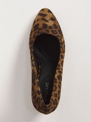 JD Williams Brown Comfort Flexible Court Shoes In Extra Wide Fit - Image 3 of 3