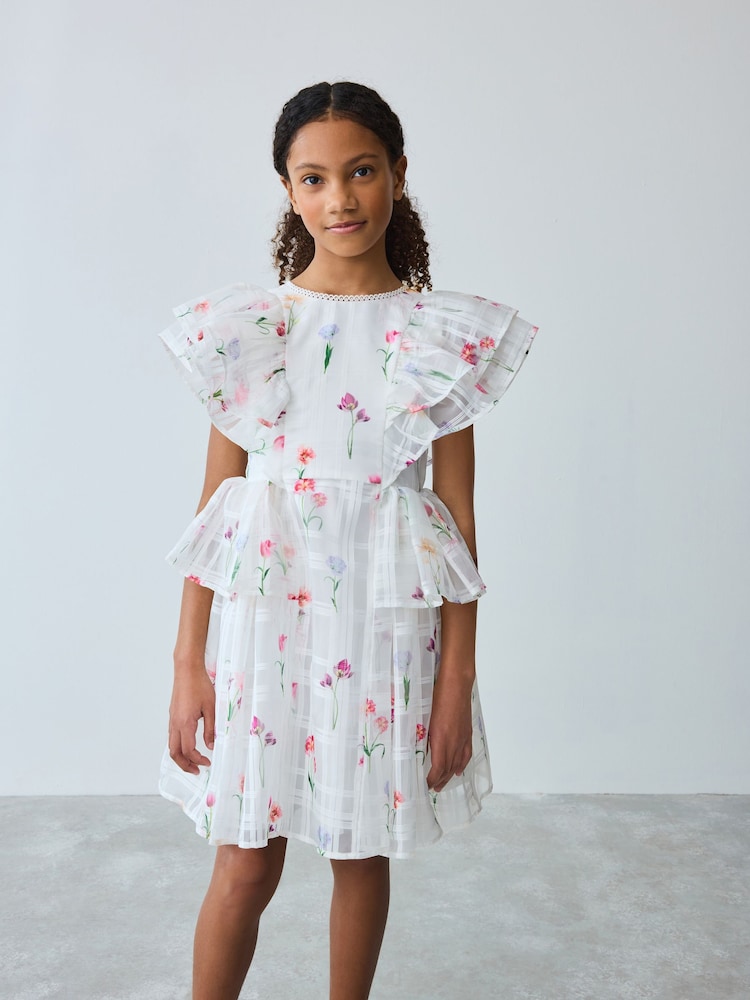 Blanco - Baker by Ted Baker Floral Burnout Frill Tier Dress - Imagen 1 de 12 Blanco - Baker by Ted Baker Floral Burnout Frill Tier Dress - Imagen 1 de 12