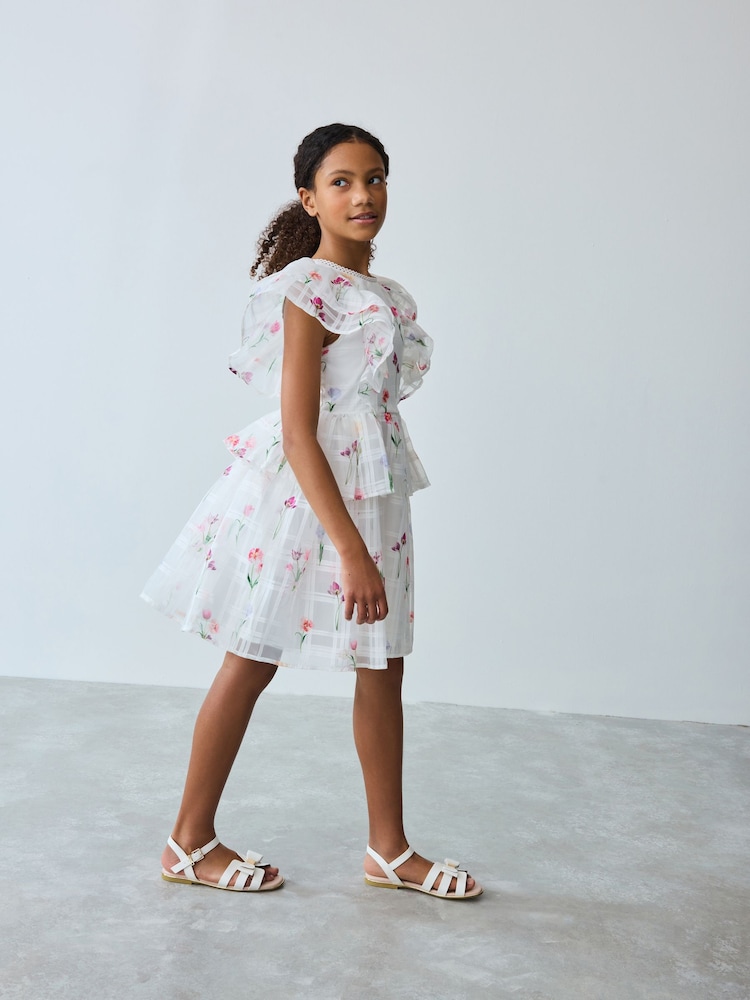 Baker by Ted Baker Floral Burnout Frill Tier Dress - Image 3 of 12