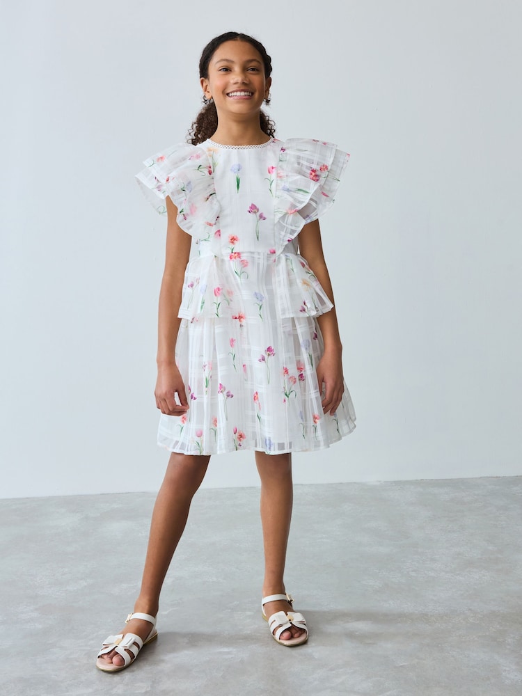Baker by Ted Baker Floral Burnout Frill Tier Dress - Image 7 of 12