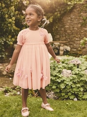 Pink Embroidered Mesh Dress (3mths-8yrs) - Image 1 of 10
