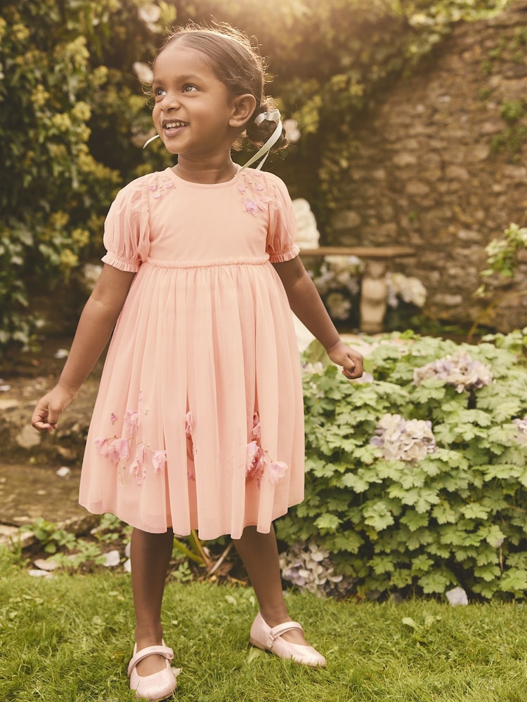 Pink Embroidered Mesh Dress (3mths-8yrs) - Image 1 of 10