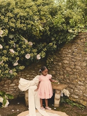 Pink Embroidered Mesh Dress (3mths-8yrs) - Image 4 of 10