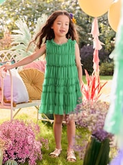 Green Shirred Ruffle Party Dress (3-16yrs) - Image 1 of 3