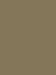 William Morris At Home Woodland Vole Gallery Emulsion 2.5L Paint - Image 2 of 5