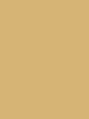 William Morris At Home Lawn Daisy Eggshell 1L Paint - Image 2 of 5
