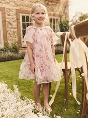 Pink 3D Floral Organza Party Dress (3-16yrs) - Image 1 of 4