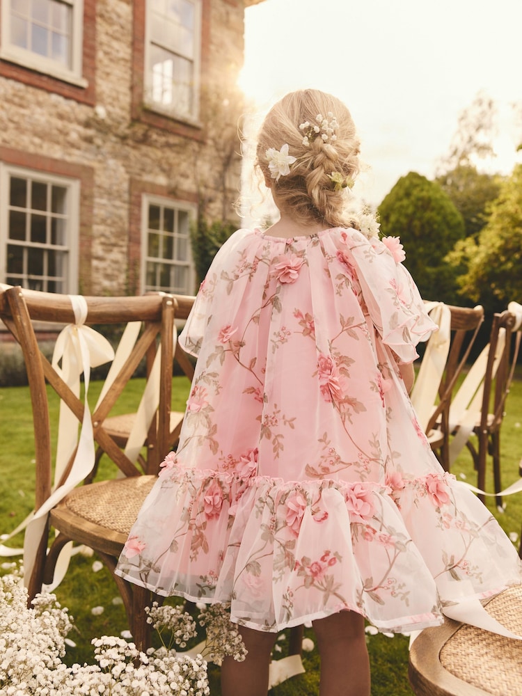 Buy Pink 3D Floral Organza Party Dress (3-16yrs) from the Next UK