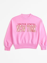Розовый - Abercrombie & Fitch Pink New York Applique Crew Sweatshirt - Изображение 1 из 2