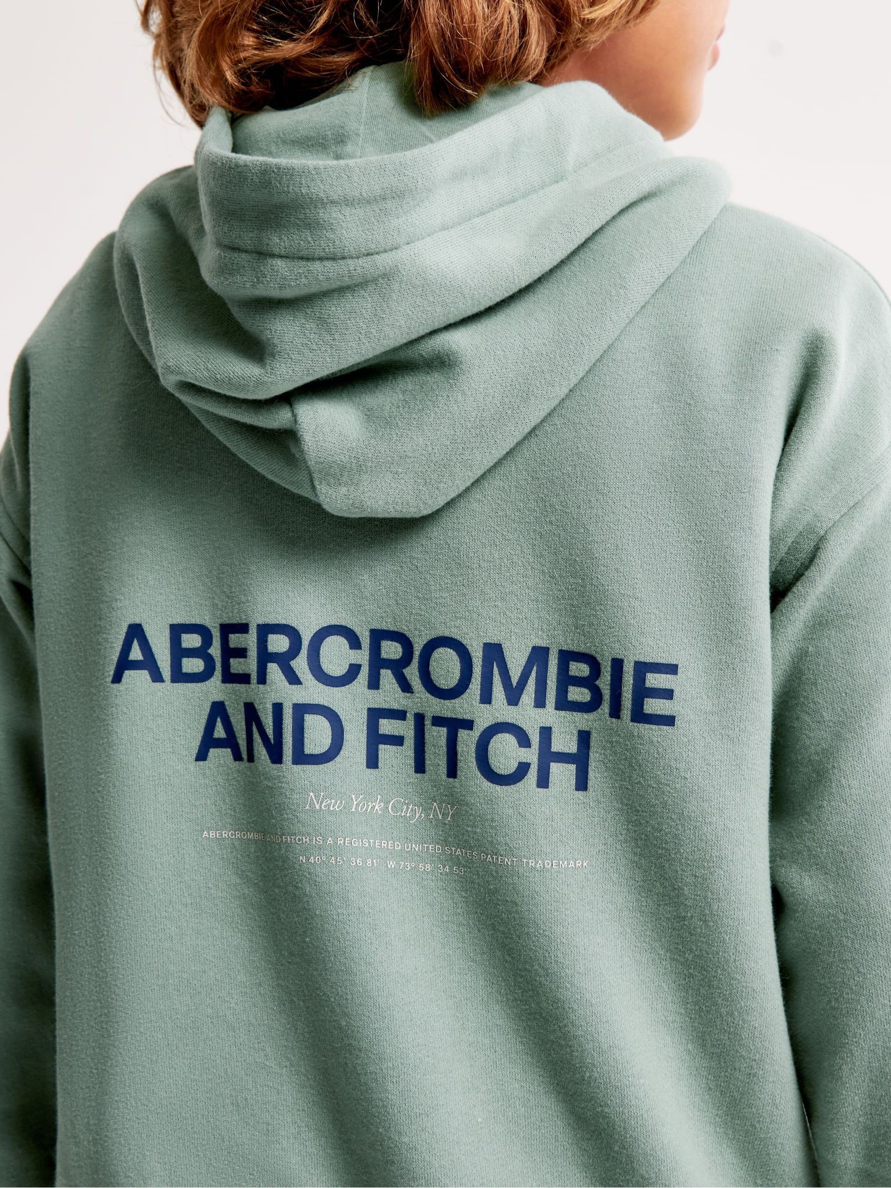 Buy Abercrombie Fitch Green Back Logo Pullover Hoodie from Next Luxembourg