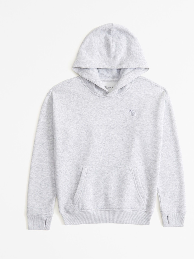 Abercrombie & Fitch Essentials Logo Pullover Hoodie - Image 1 of 1