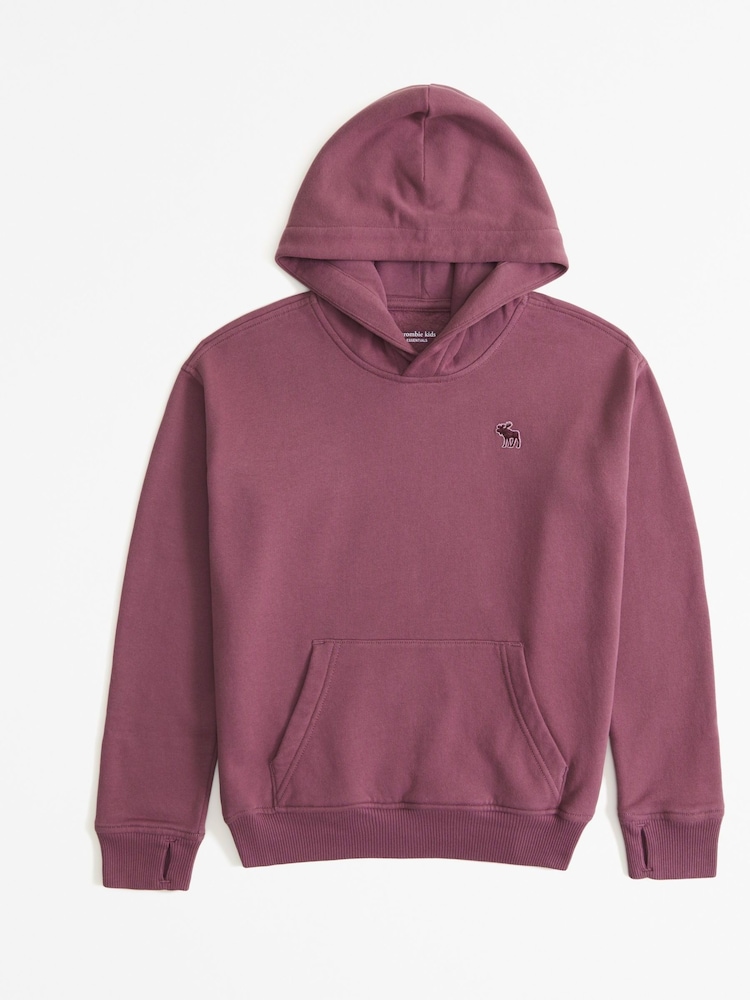 Abercrombie & Fitch Pullover Hoodie - Image 1 of 1