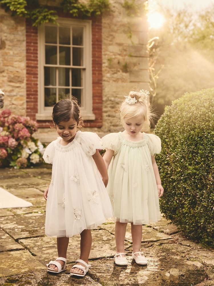 Ivory Butterfly Mesh Dress (3mths-8yrs) - Image 5 of 9