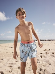 Pale Blue Skeleton Printed Swim Shorts (3-16yrs) - Image 2 of 4