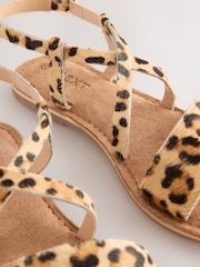 Animal Print Leather Strappy Buckle Fastening Sandals - Image 4 of 5