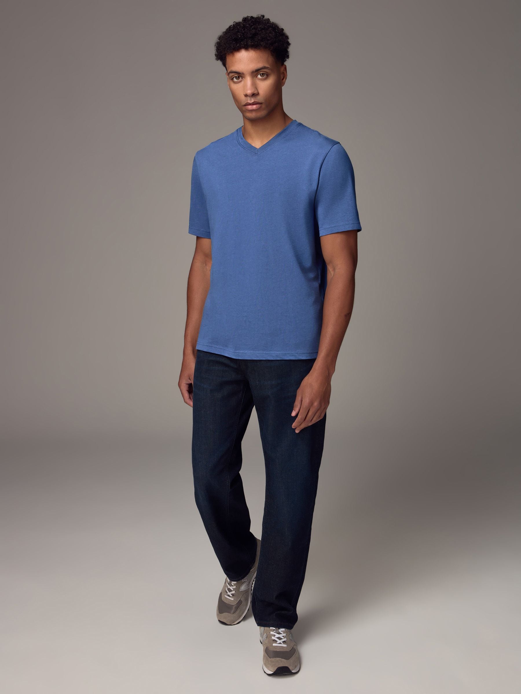 Buy Blue Regular Fit Essential V-Neck T-Shirt from Next Canada