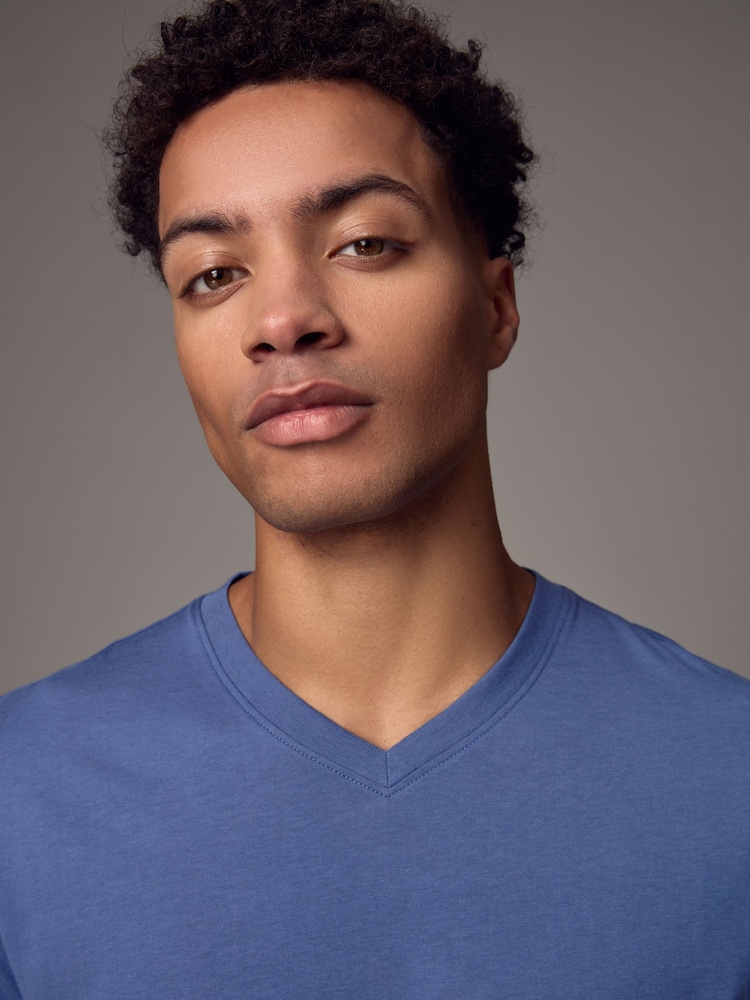Blue Regular Fit Essential V-Neck T-Shirt - Image 4 of 7