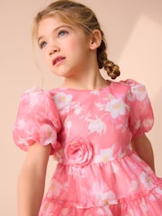 Laura Ashley Bright Pink Winter Rose Floral Organza Pintuck Prom Dress - Image 11 of 16