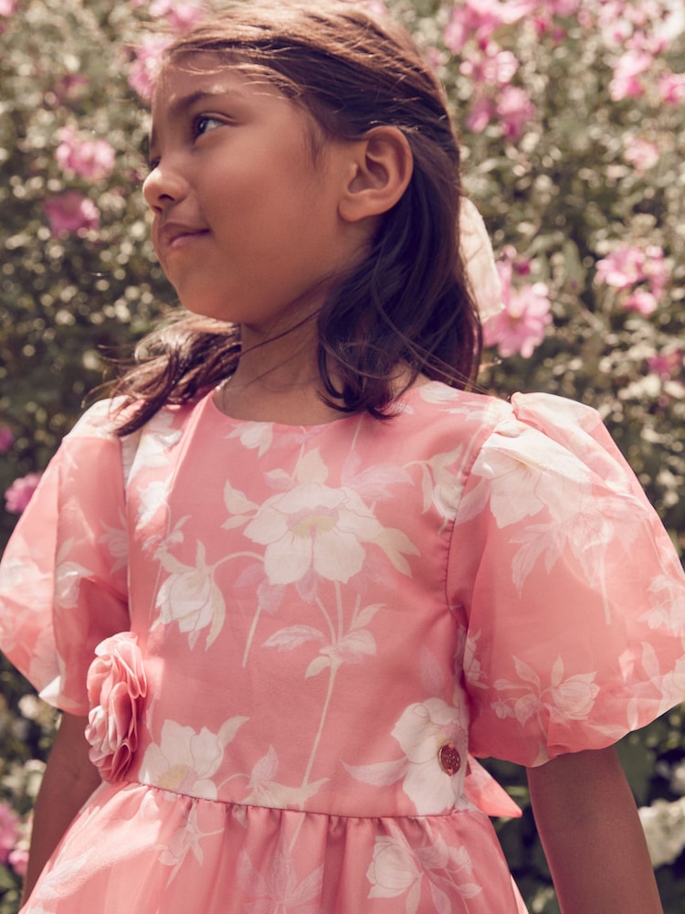 Buy Laura Ashley Bright Pink Winter Rose Floral Organza Pintuck Prom Dress  from Next Luxembourg