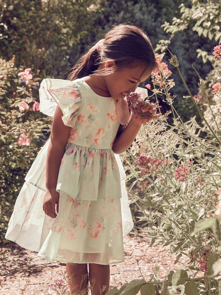 فستان أورجانزا بحواف مُزيّنة بطبعة زهور مستوحاة من حديقة ورد من Laura Ashley - صورة 1 من 19