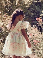 فستان أورجانزا بحواف مُزيّنة بطبعة زهور مستوحاة من حديقة ورد من Laura Ashley - صورة 5 من 19