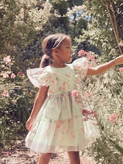 فستان أورجانزا بحواف مُزيّنة بطبعة زهور مستوحاة من حديقة ورد من Laura Ashley - صورة 7 من 19