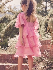 Laura Ashley Pink Embroidered Flower Dress - Image 2 of 13