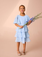 Laura Ashley Blue Embroidered Flower Dress - Image 1 of 10