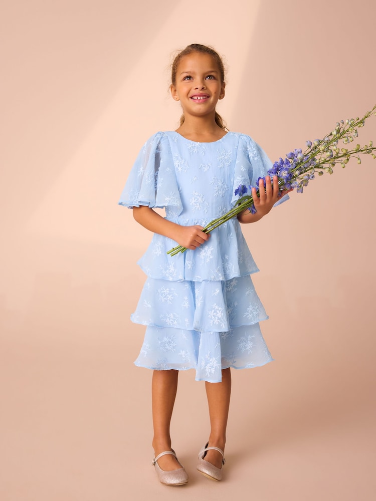Laura Ashley Blue Embroidered Flower Dress - Image 1 of 10