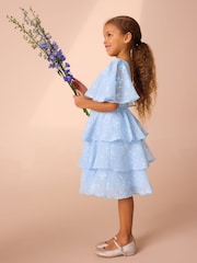 Laura Ashley Blue Embroidered Flower Dress - Image 4 of 10