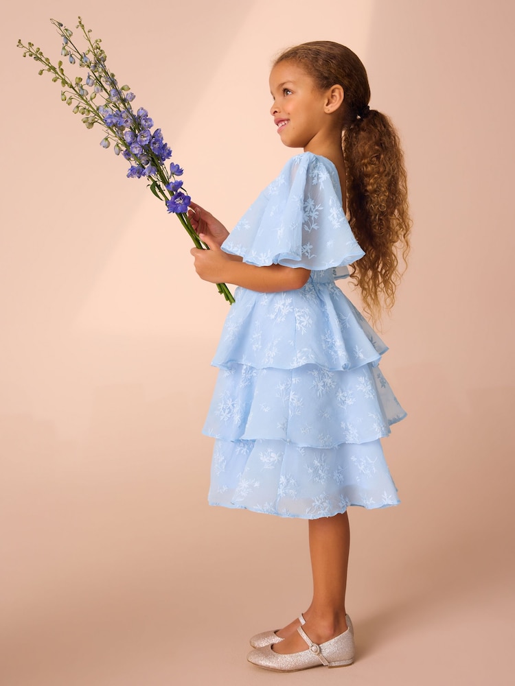 Bleu - Laura Ashley - Robe à fleurs brodées - Image 4 of 10