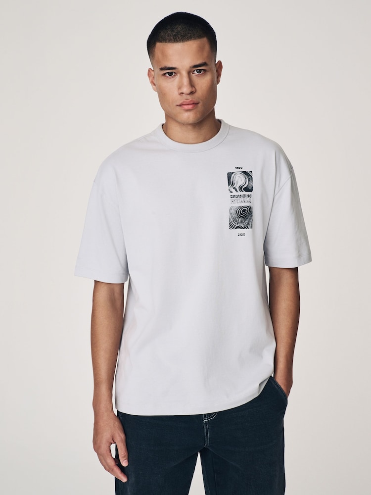 Light Grey Relaxed Fit Graphic Print T-Shirt - Image 2 of 10