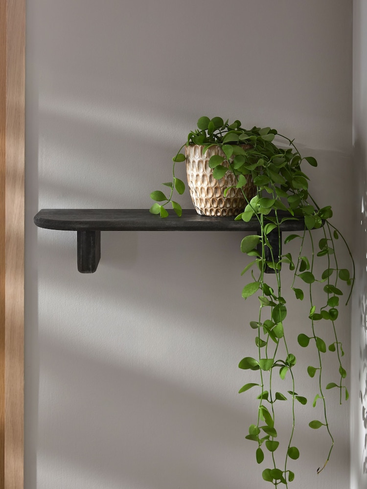 Chunky Display Shelf - صورة 1 من 4 Chunky Display Shelf - صورة 1 من 4