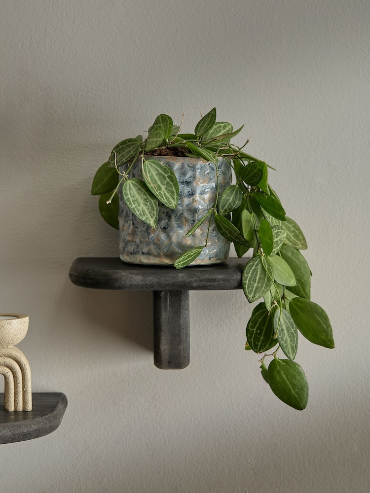 Chunky Display Shelf - Изображение 2 из 4 Chunky Display Shelf - Изображение 2 из 4