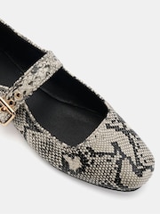 Novo Snake Print Standard Fit Cesena Mary Jane Flat Ballerina Shoes - Image 4 of 6