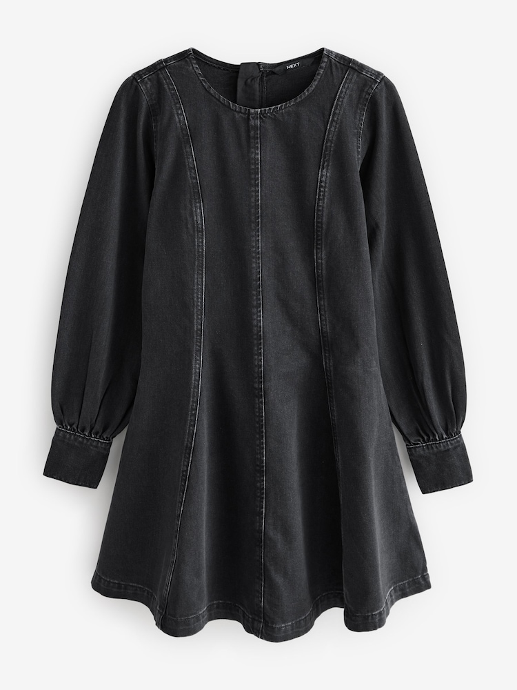 Buy Black Long Sleeve Seam Detail Denim Dress from Next USA